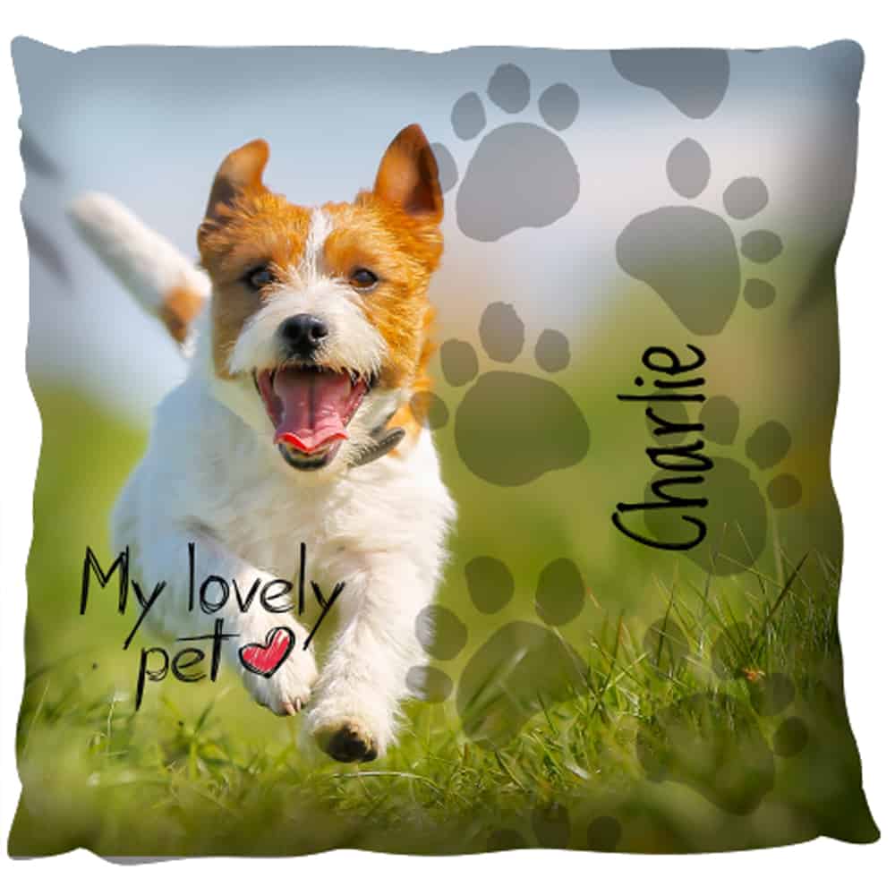 Photo Gift Pillow - Pets